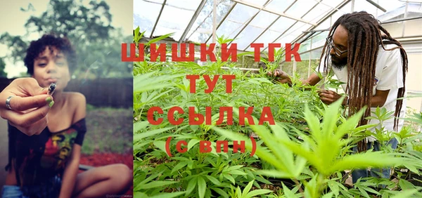 Альфа ПВП Лагань