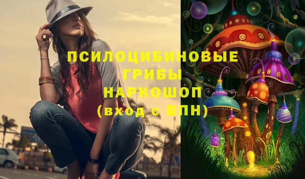 Альфа ПВП Лагань