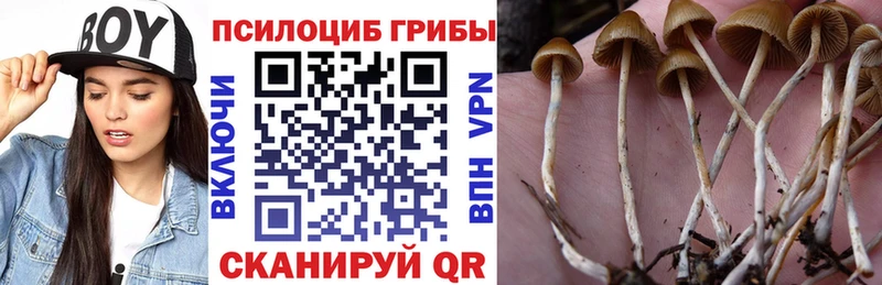 Галлюциногенные грибы ЛСД  где можно купить   маркетплейс какой сайт  Ефремов 