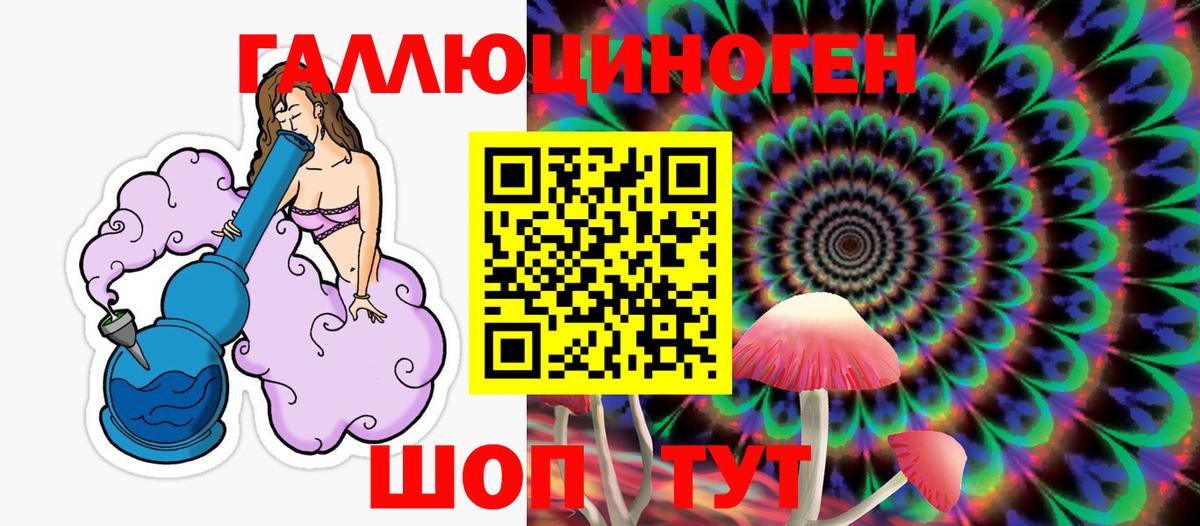 купить наркотик  Вход с VPN  Ефремов  Галлюциногенные грибы MAGIC MUSHROOMS 