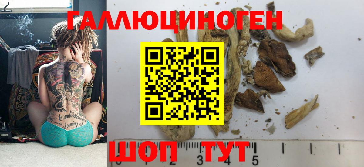 Псилоцибиновые грибы GOLDEN TEACHER Ефремов