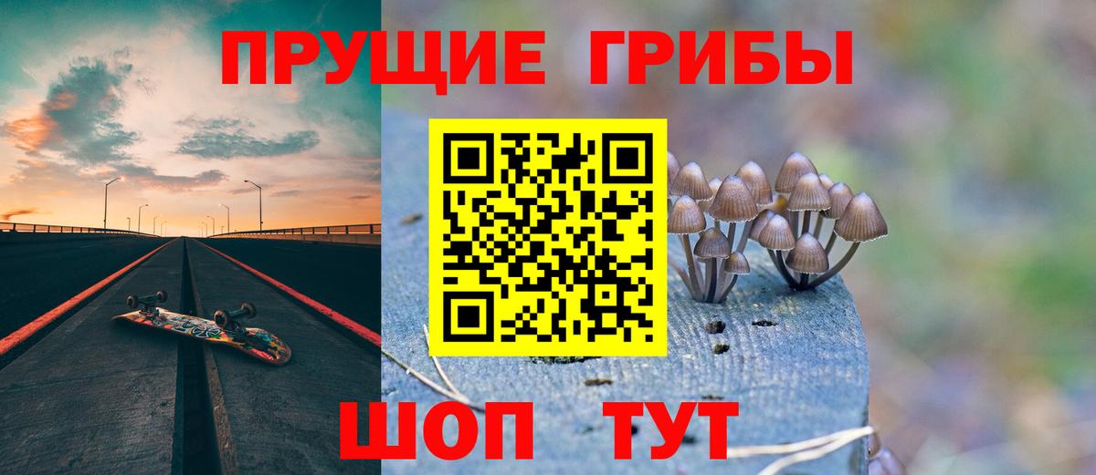 Псилоцибиновые грибы Psilocybe  продажа наркотиков  Ефремов 